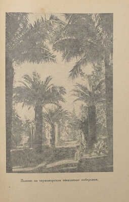 Островский Б. Советские субтропики / Предисл. А.М. Лежавы; переплет и фронтиспис худож. Н. Травина. [М.; Л.], 1937.